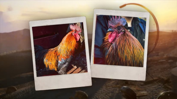 arc-raiders-scrappy-hakan_副本